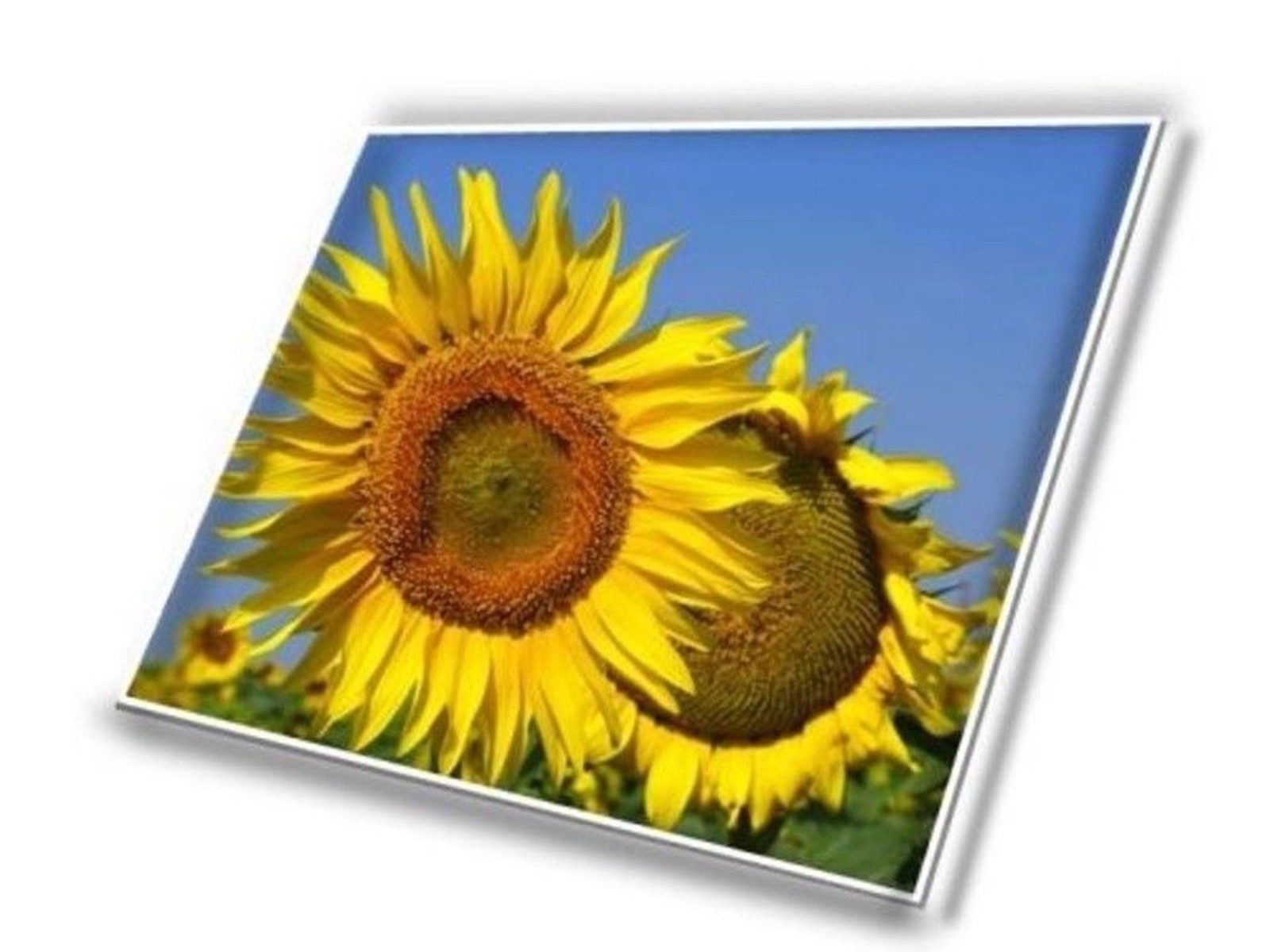 B160UAK01.5 – RAW PANEL TOP 16 WUXGA AG UWVA 300 TOUCH