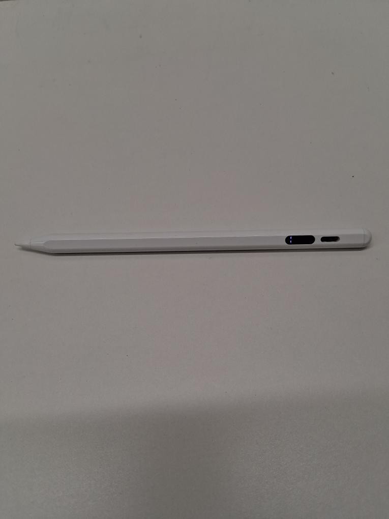 APPLE PENCIL USB-C (P06034470)