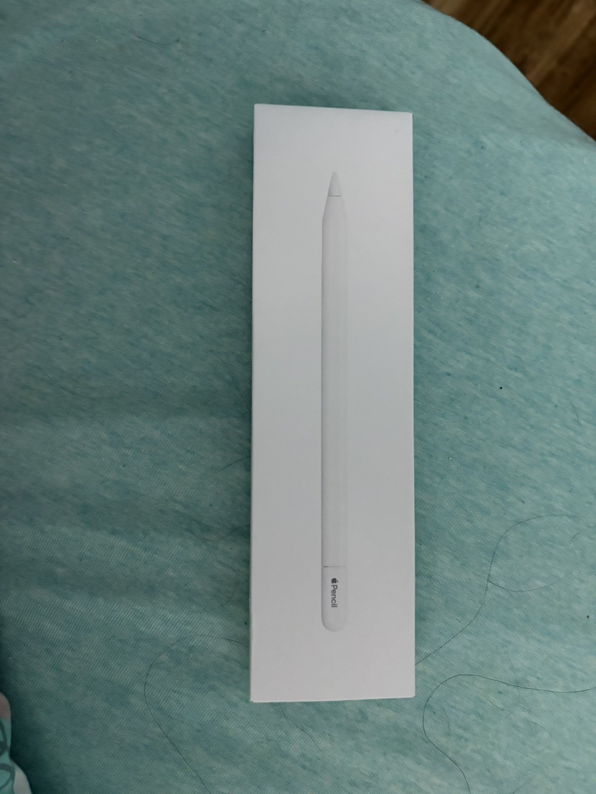 Apple Pencil (USB-C) – White Stylus ‎‎‎MUWA3AM/A with Pixel-Perfect Precision