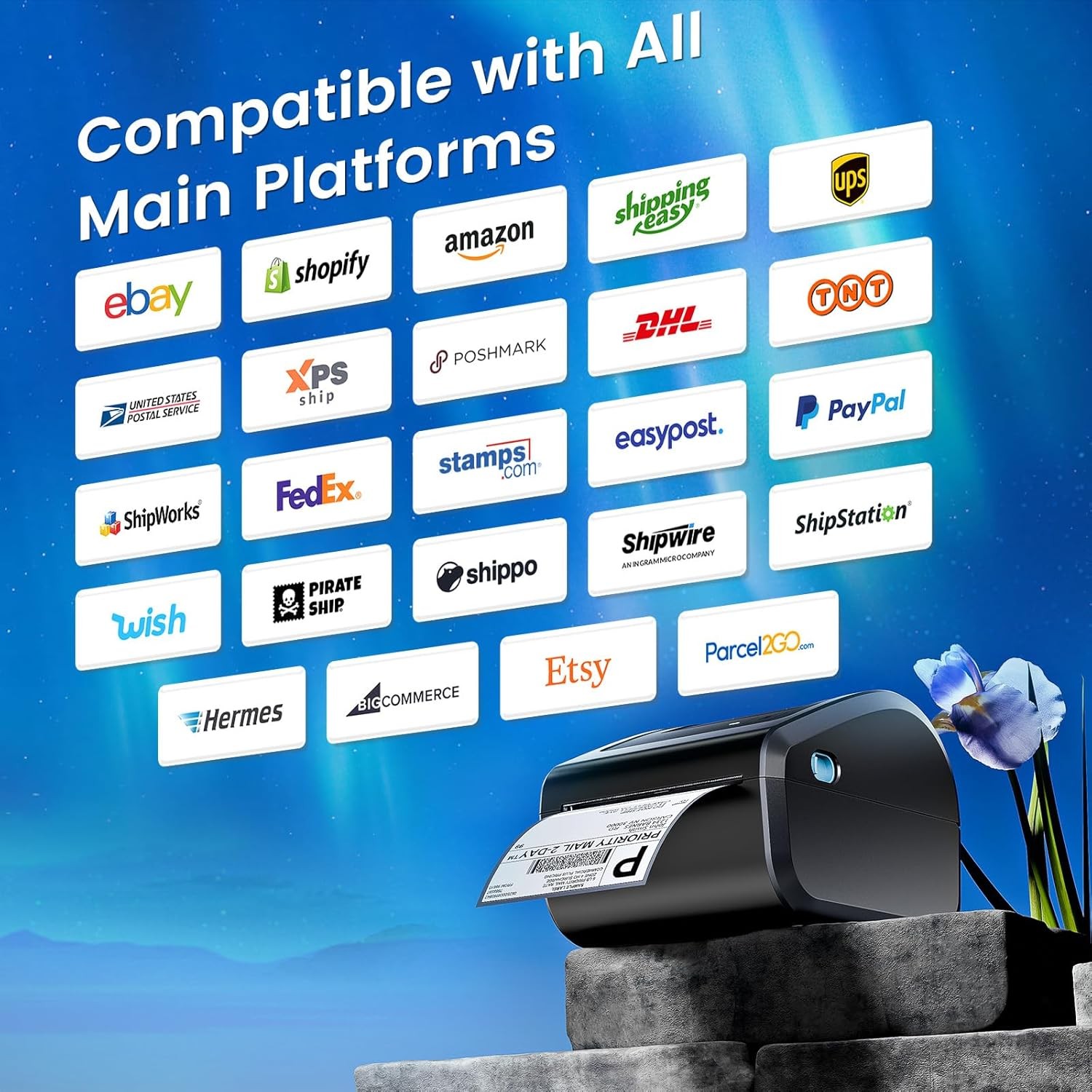 Phomemo D450BT 4×6 Thermal Label Printer for logistics Shipping Labels 300dpi